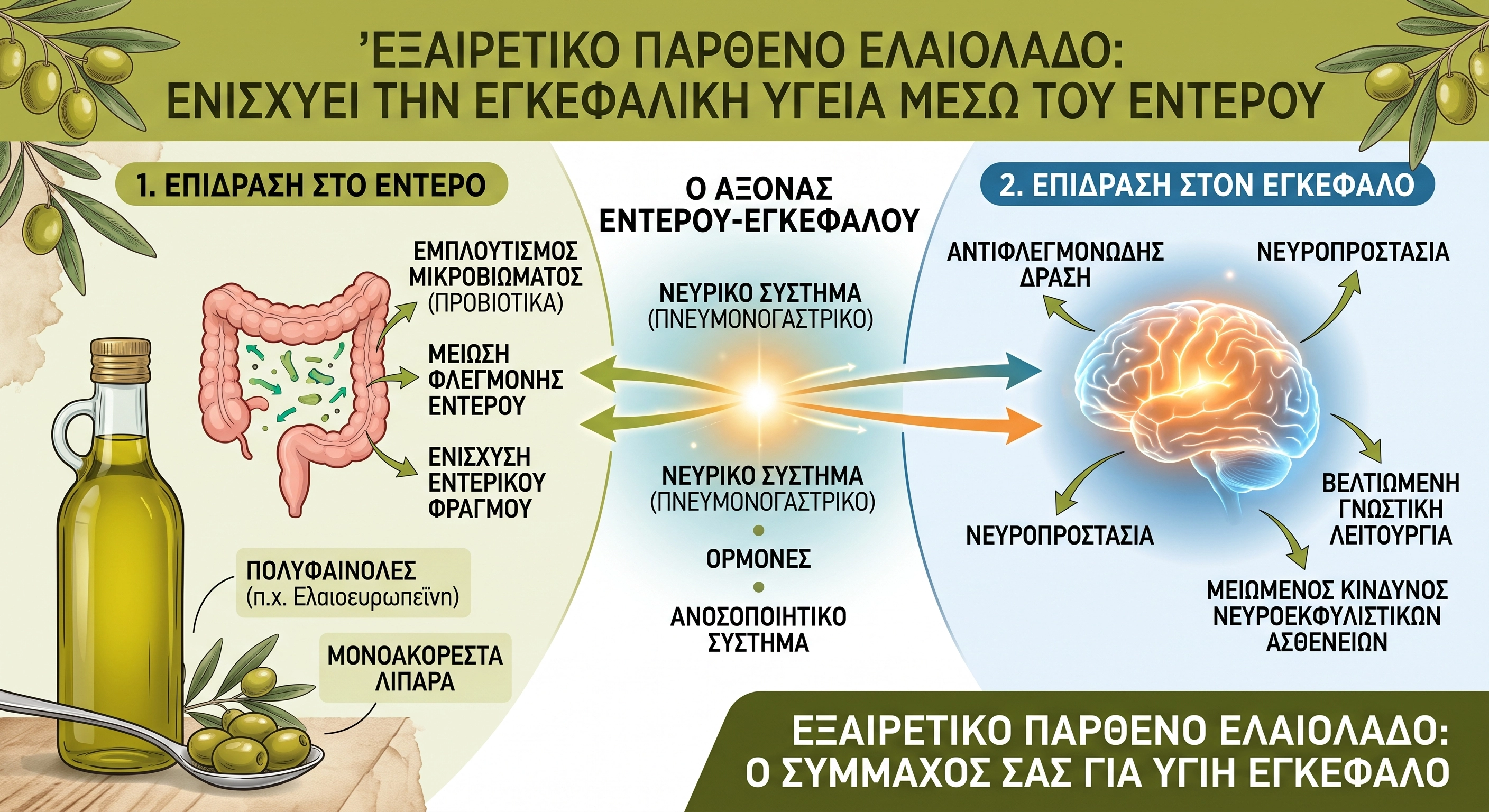 Το εξαιρετικό παρθένο ελαιόλαδο ενισχύει την εγκεφαλική υγεία μέσω του εντέρου